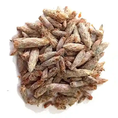 Сосна бруньки 500 г, фото 1