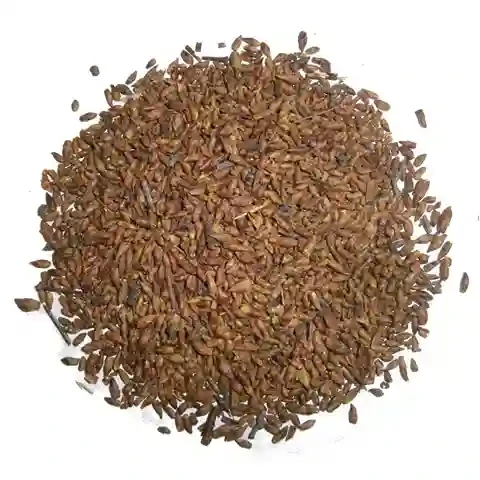 Береза бруньки 500 г, фото 1