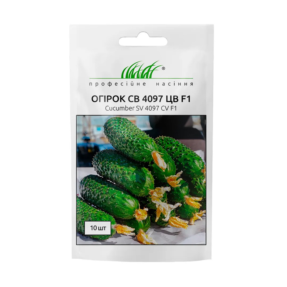 Насіння огірка СВ 4097 ЦВ F1 10 шт, Seminis