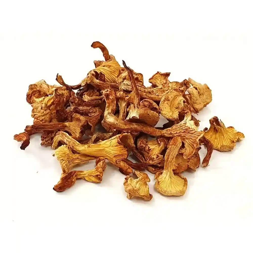 Лисичка гриб 1000 г, фото 1