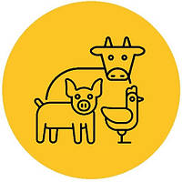 ДЛЯ С/Г ТВАРИН І ПТИЦІ