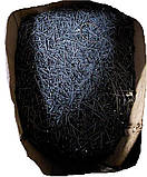 Цвяхи будівельні 1,5х30 мм високоякісні сталеві без покриття з пласкою головкою гладкий стержень DIN 1151, фото 10