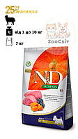 Farmina (Фарміна) N&D GF Pumpkin Dog Lamb & Blueberry Adult Mini| беззерновий 7 кг для собак дрібних порід
