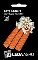 Насіння кукурудзи Естрелла F1, 20 шт., попкорн, ТМ "ЛєдаАгро"