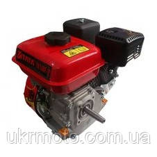 Двигун бензиновий під конус 170F ТАТА, фото 1