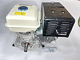 Двигун бензиновий 7 к.с. шпонка 20 мм Bizon, фото 2