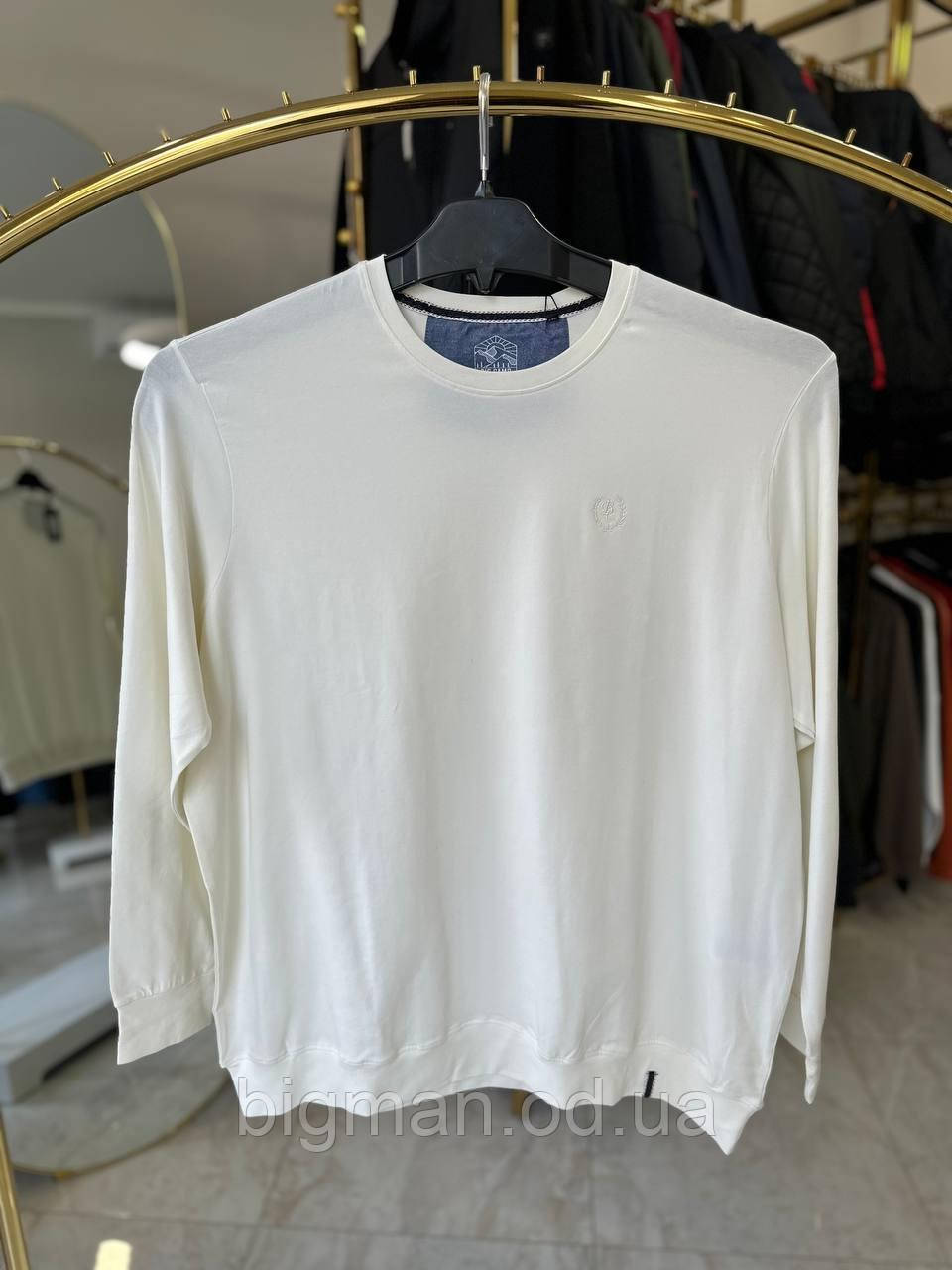 Світшот, футболка з довгим рукавом BIGCamp 0013 (батал) 3-7XL білий