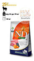 Farmina (Фарміна) N&D Grain Free Pumpkin Dog Lamb & Blueberry Adult Medium & Maxi 12кг беззерновий для собак середніх та великих