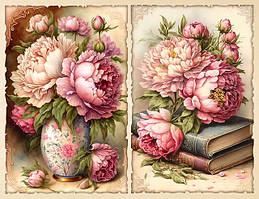 Троянди, Піони