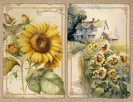 Маки, Соняшники, польові