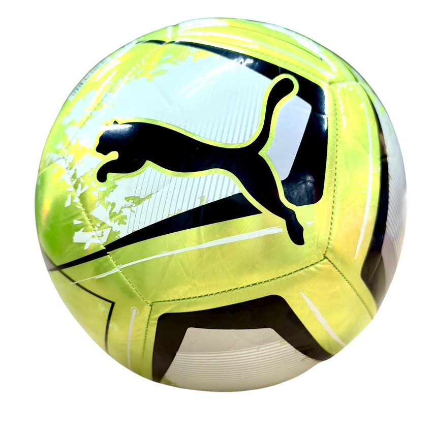 Футбольний мяч Puma Cage Ball р. 5