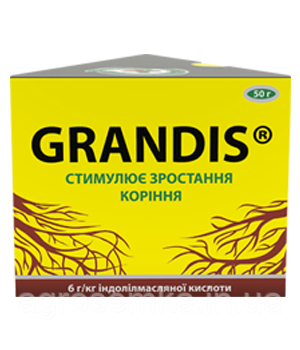 Регулятор росту кореня Грандіс 50г, фото 1