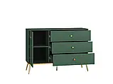 Комод у вітальню, у спальню Forest 04 (зелений лабрадор/золотий), фото 7
