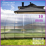 Сотовий полікарбонат 2100Х6000Х10 mm OSCAR Standard прозорий, фото 2
