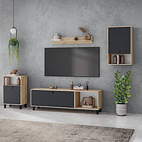 Стильна модульна стінка під телевізор модерн на ніжках у вітальню зал Тоня Київський Стандарт дуб рая/антрацит