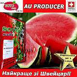 Насіння, кавун АУ Продюсер, Soto Seeds (Швейцарія), проф.пакет 500 грамів, Імпорт 2025, фото 4