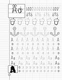 НУШ. English. Англійська мова. Зошит-шаблон. 1-2 класи. Матвієнко Т., Пащенко Л., фото 2
