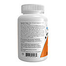 Acetyl-L-Carnitine Pure Powder - 85g, фото 4