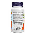 Saffron 50mg - 60 vcaps, фото 4