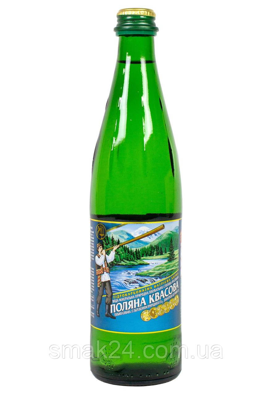 Вода сильногазована Поляна Квасова 0,5 л ст/бут