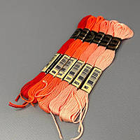 (6 шт по 8м) Набір муліне Airo (нитки для вишивання) - персиковий мікс (606-967)