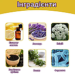 Патчі для взуття від неприємного запаху Jue-Fish Stop Odor 10 штук, фото 3