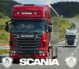 Наклейка лобое скло SCANIA  100*15 см