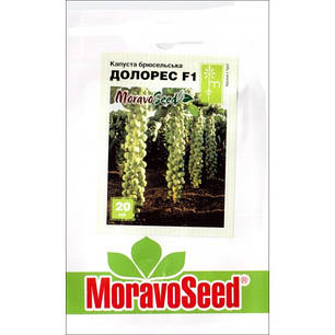 Насіння Капуста брюссельська Долорес F1, 20 насінин MoravoSeed, фото 1