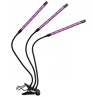 Ліхтарі, лампи, запальнички