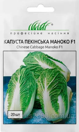 Насіння Капуста пекінська Маноко F1, 20 насінин Bejo Zaden Професійне насіння, фото 1