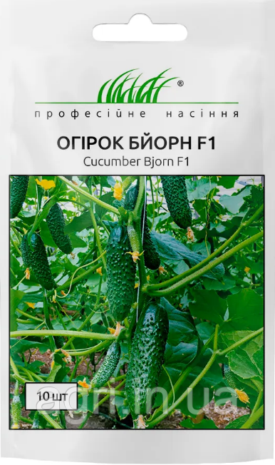 Огірок Бйорн F1, Нідерланди. 10 шт.