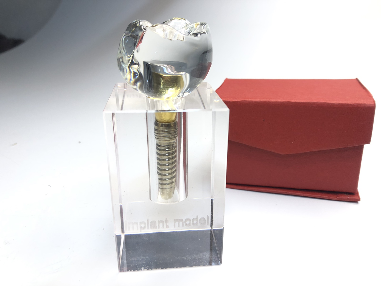 Демонстраційна модель одного зуба з імплантом