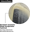 L’Oréal Professionnel Serie Expert Absolut Repair глибоко відновлюючий шампунь для сухого або пошкодженого волосся 1500 мл, фото 5