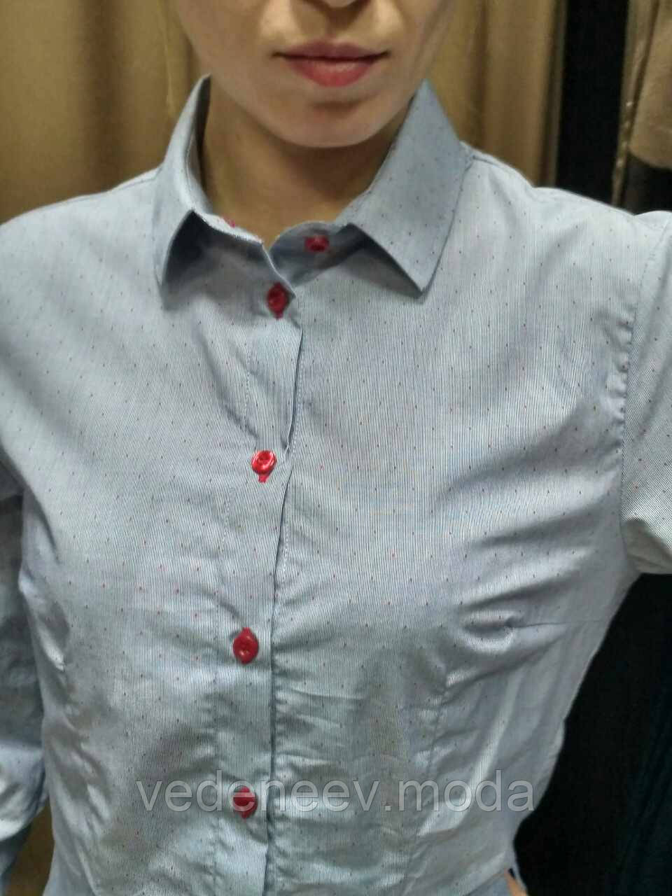 Блуза бузково-блакитна з червоними ґудзиками