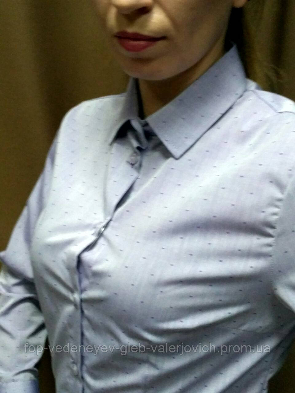 Блуза бузкова в темно-бузкового точку