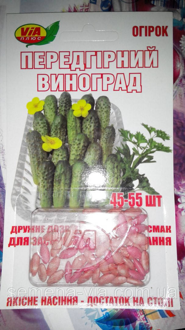 Насіння огірків "Предгирній виноград" ТМ VIA-плюс, 5 г (Польща)