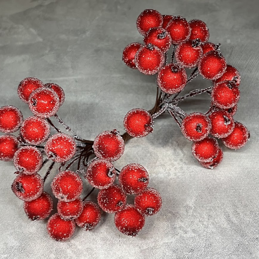 Калина в цукрі, колір -червоний, 1 пучок (38-40 ягід), Червоний, фото 1