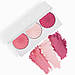Палітра рум'яна та хайлайтер Ofra Cosmetics Midi Palette Blossom Blush 9 г, фото 4