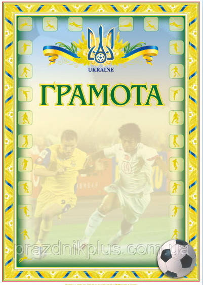 Заохочувальна спортивна грамота №119