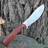 Ніж шкуроз'ємний, обробний М390, дерев'яне руківя, з чохлом, фото 3