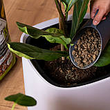 Субстрат Lechuza Pon XXL 25 л крупнозернистий (Лечуза Пон XXL, Німеччина), фото 6