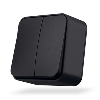 BINERA чорний графіт Вимикач зовнішній 2кл IP20 Videx