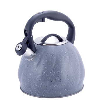 Чайник 3л нержавіюча сталь зі свистком з нейлоновою ручкою 1073GR KAMILLE