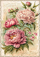 Декупажна карта 21х30см DC FSR-