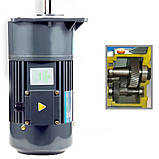 Олійний прес Tekhniko Oil Extractor OP-800 (S8S) – професійний прес для холодного віджиму олії, фото 6