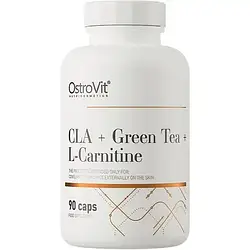 Жиросплювач OstroVit CLA+Green Tea+L-Carnitine 90caps