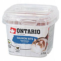 Лакомство для кошек ONTARIO Salmon Omega Bits 75 г. с лососем