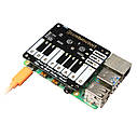 Сенсорне піаніно Pimoroni Piano HAT, фото 9