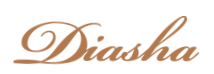 Магнітні трекові системи Diasha