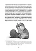 Книга Справжнісінький кіт. Террі Пратчетт, фото 6